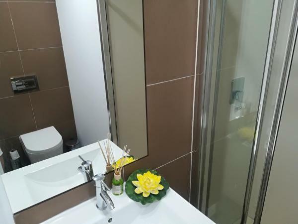 Iris Apartment Pombal  Esterno foto